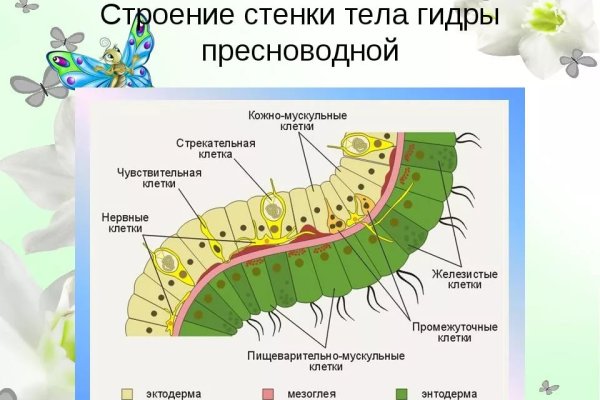 Кракен дарк шоп