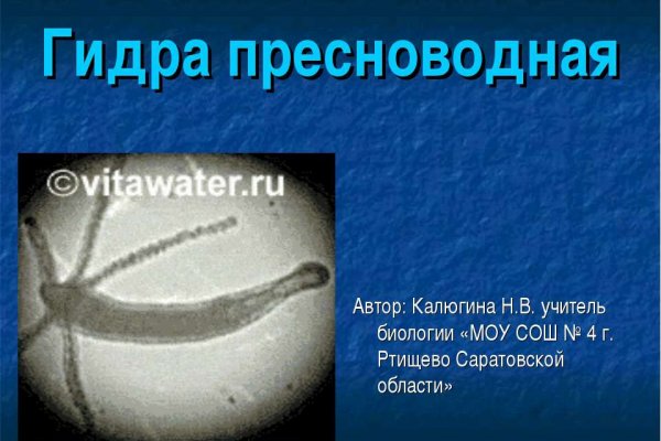 Кракен нов