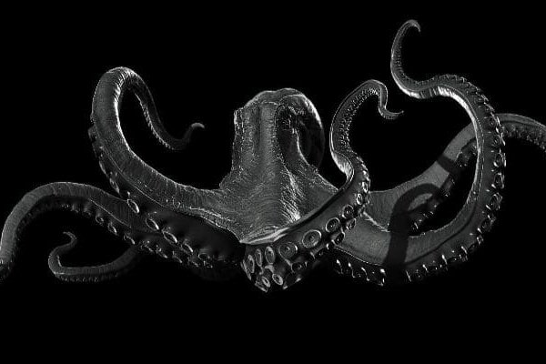 Kraken домен