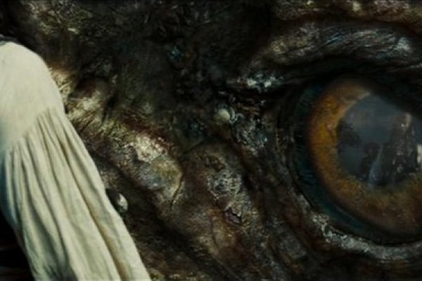 Kraken 25 at