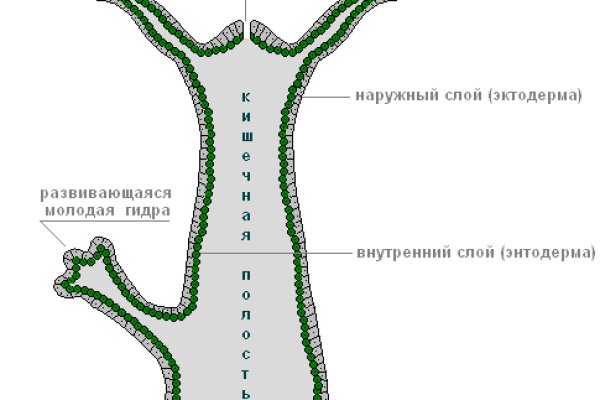 Сайты наркоты
