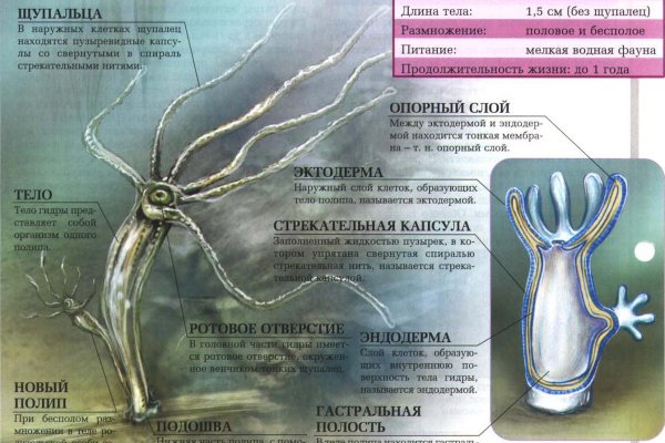 Ссылка на кракен 11