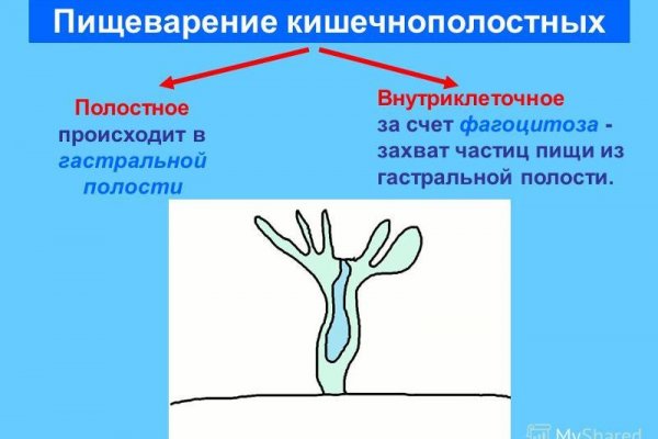 Кракен даркшоп