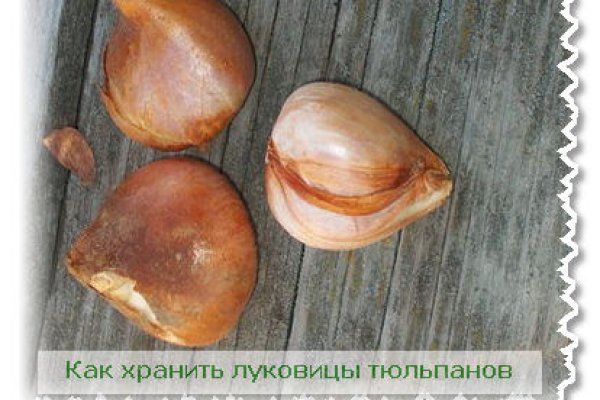 Kra36.at