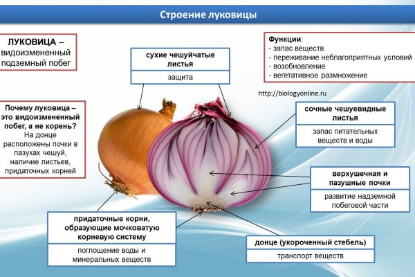 Кракен зеркало прокатис