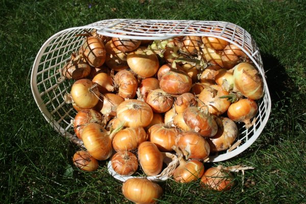 Кракен вход ссылка