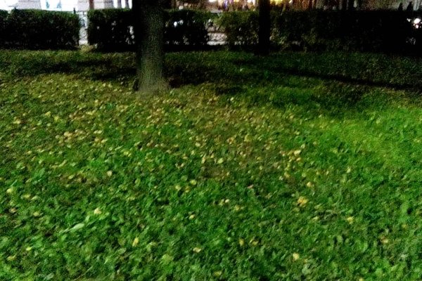 Как восстановить аккаунт на кракене