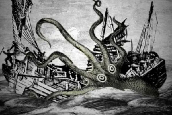 Kraken что это за магазин