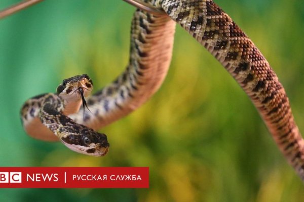 Кракен вход магазин